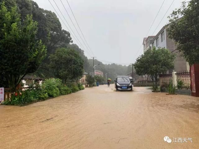 浮梁县:赣北丘陵屏障下的低感染率样本