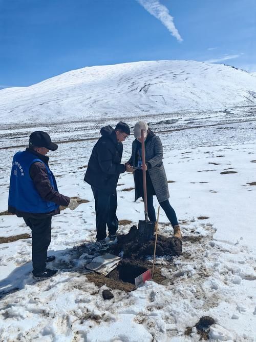 合作市：高原门户的防疫坚守与挑战