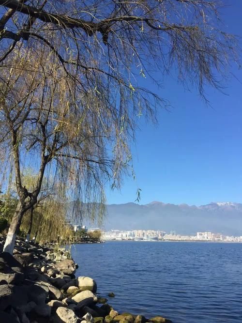 洱海之源：高原坝子如何构筑疫情防线？