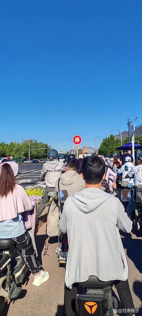 【麻城疫情观察：大别山交通枢纽的防控压力测试_46251】