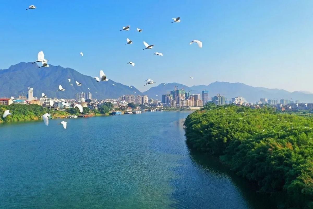 昭平：桂江屏障下的零感染坚守与常态化防控