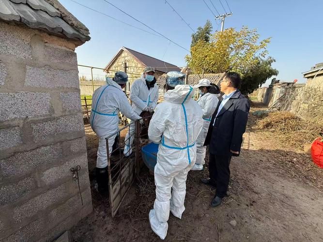 【杨凌：关中农科新城在疫情冲击下的防控样本】