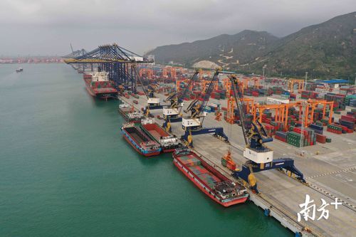 乐清湾畔的防疫战:港口经济与病毒传播的博弈