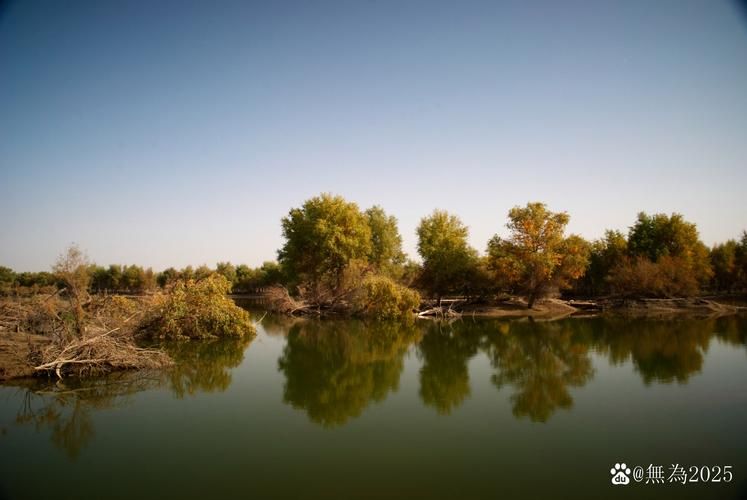皮山：塔克拉玛干边缘的县域防疫样本