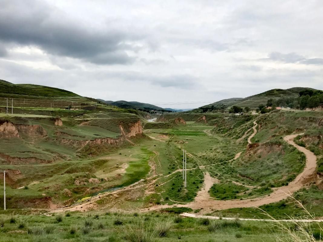 东乡：黄土塬上的防疫破口与地理围城