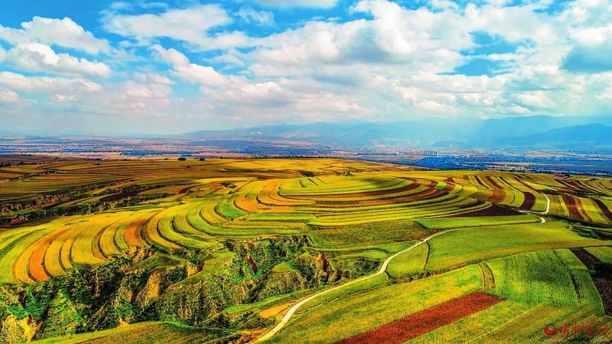 五寨县：黄土高原沟壑区如何构筑疫情防线？