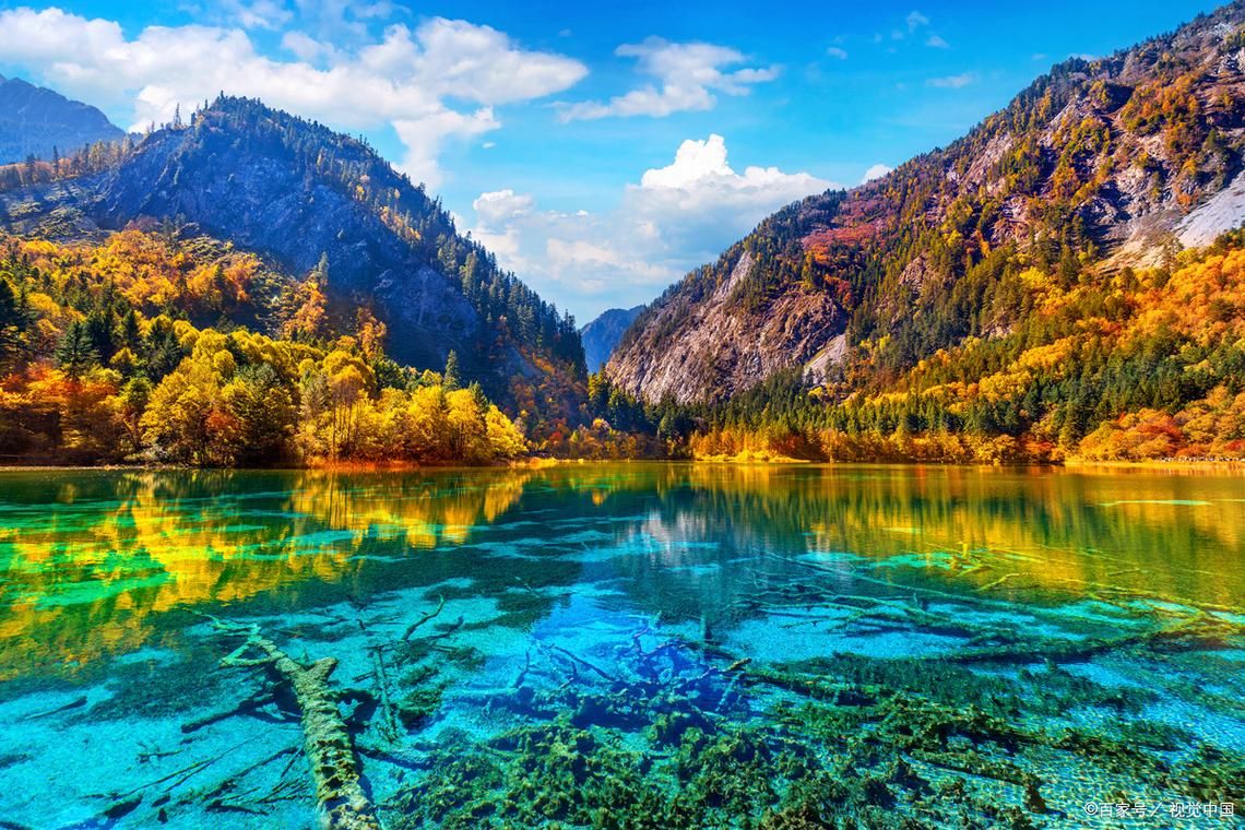 生活百科 第183页