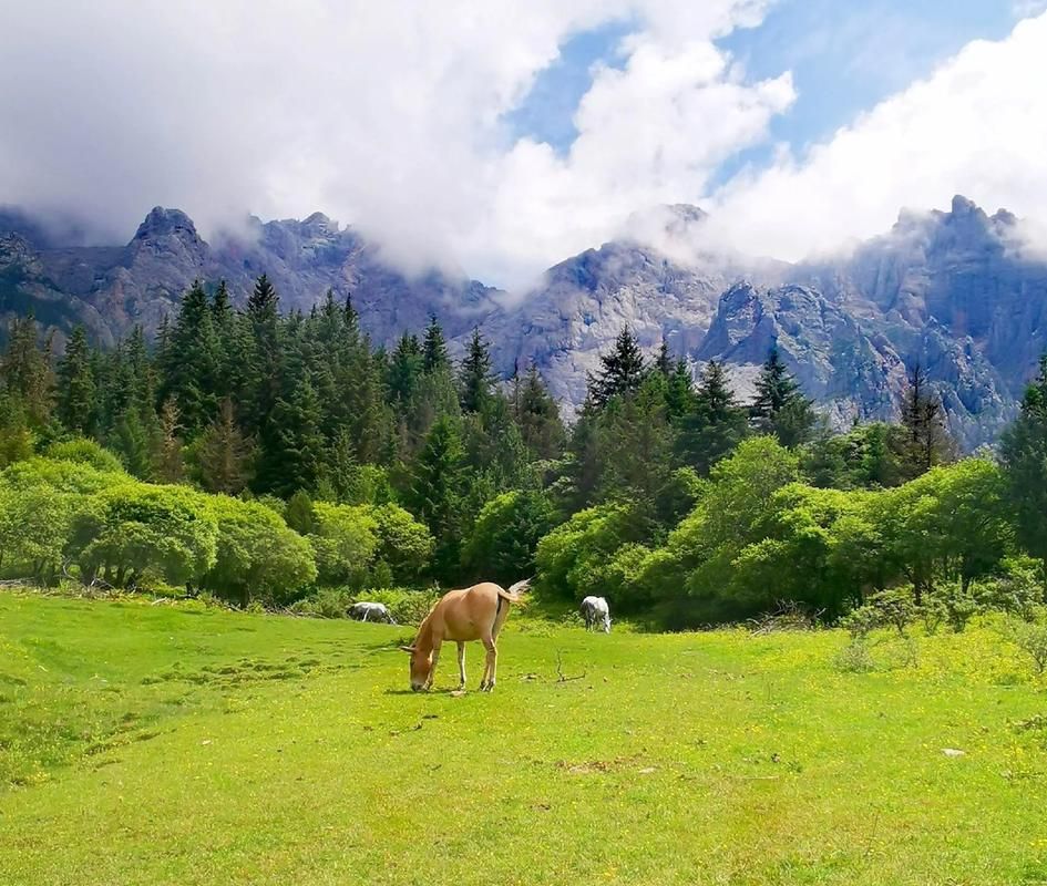 【泽库县：高寒牧区屏障下的零感染坚守】