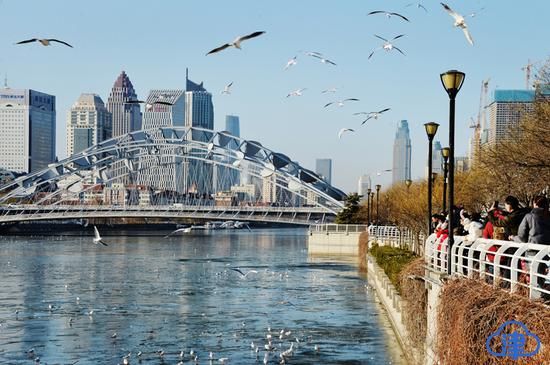 河北区疫情观察：海河畔交通枢纽的防控挑战