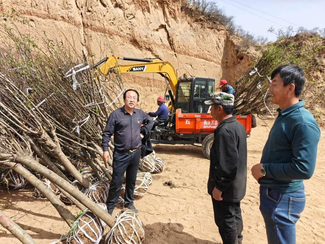 清丰县：豫北平原农业县的零感染坚守