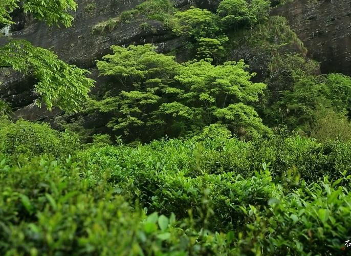 日常新闻 第180页