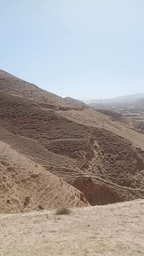 甘泉县：黄土高原沟壑间的疫情防波堤_21745