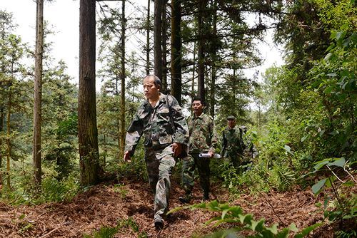 吉水江畔的防疫坚守：赣中腹地的零感染样本解析