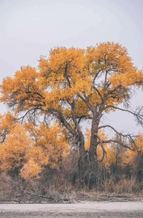 襄城零感染记录：颍汝河畔的防疫地理屏障