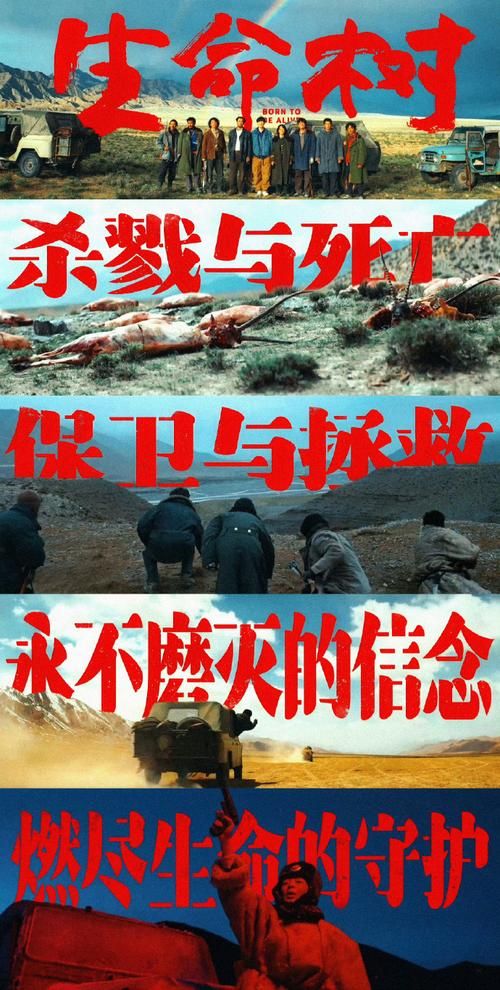 盐边:川滇锁钥下的静默防线与零感染坚守