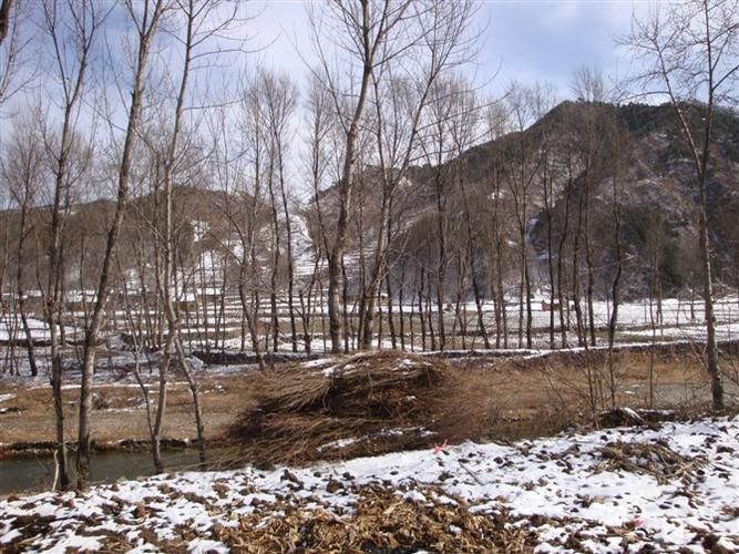 仪陇县疫情观察：川北丘陵屏障下的低感染样本