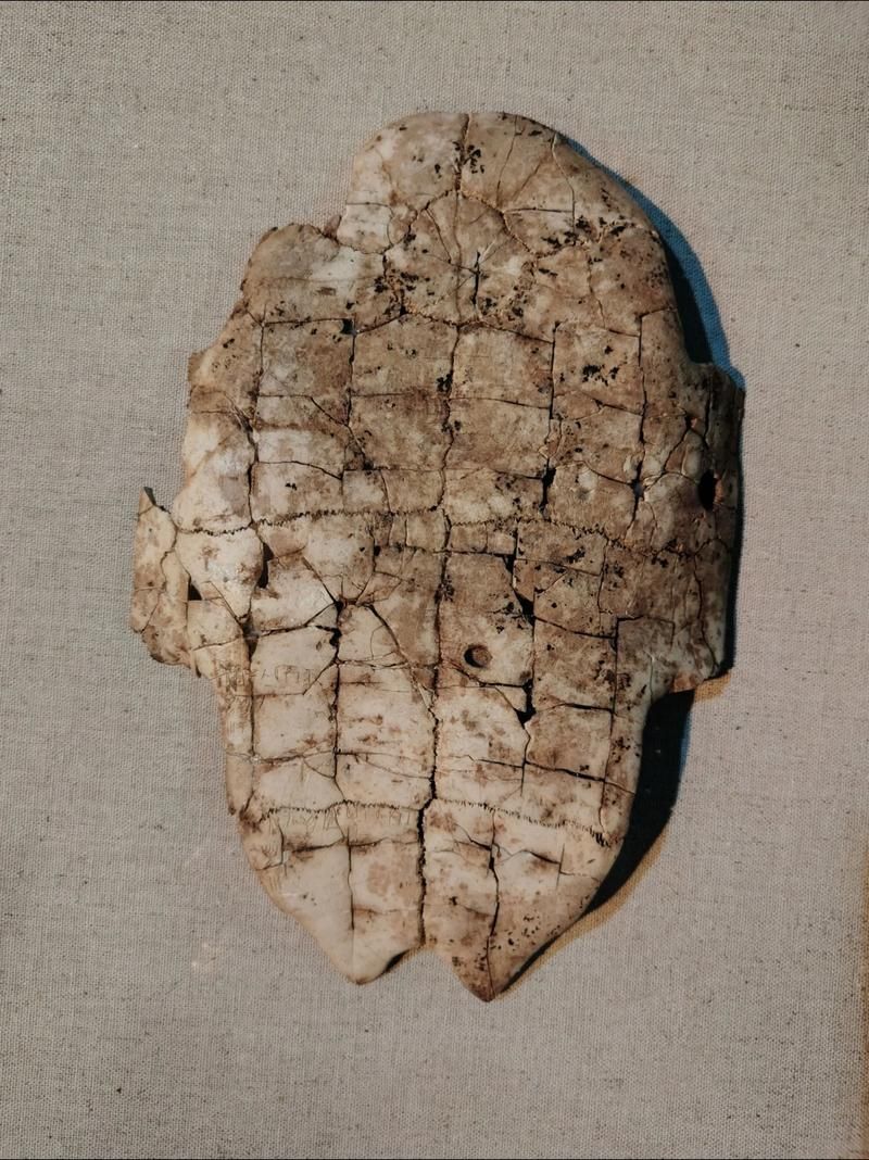 安阳疫情：殷墟故地如何应对奥密克戎冲击波