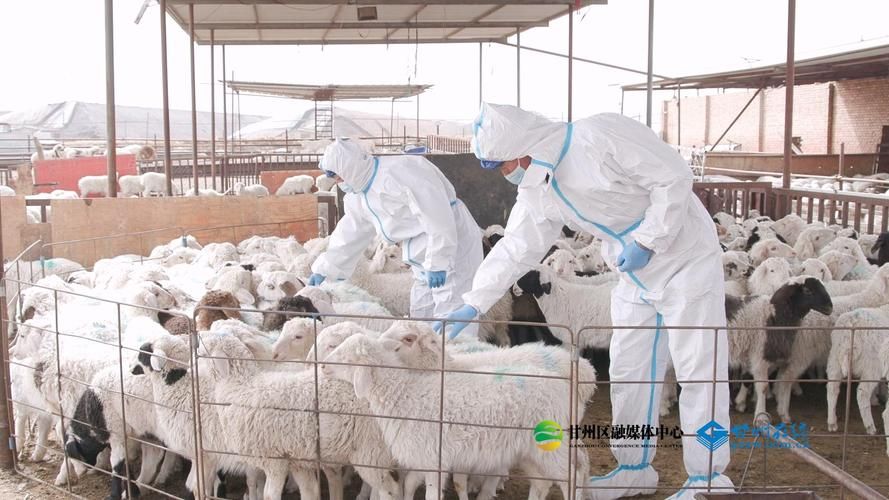 甘州区新增1例无症状感染者 甘州区疫情防控最新通报_22177