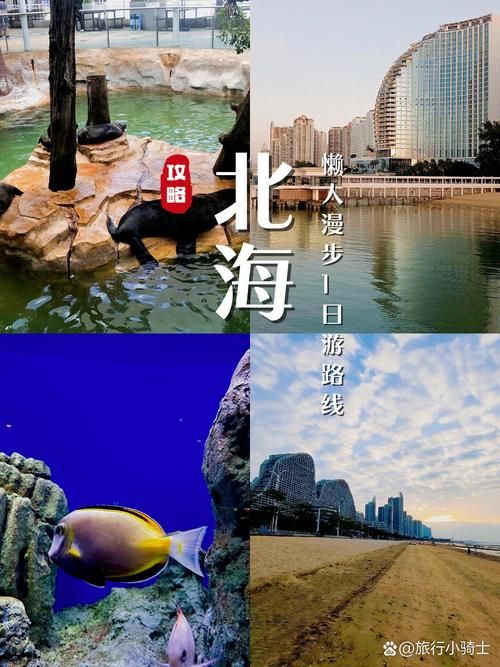 日常科普 第162页