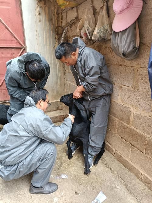 易门新增1例无症状感染者 易门县疫情防控最新通报_8651