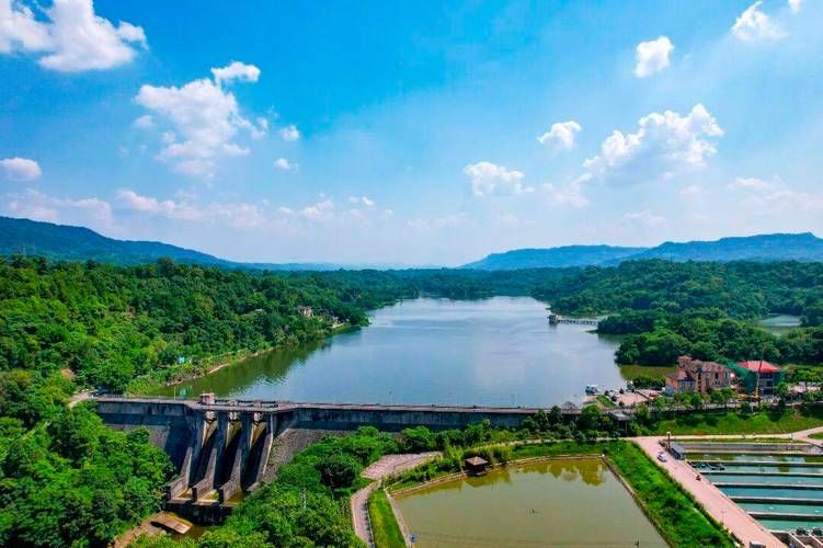 贵池区：长江南岸的防疫屏障与零星破防_56514