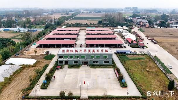 淮阳：平原农区防疫样本的交通枢纽之困