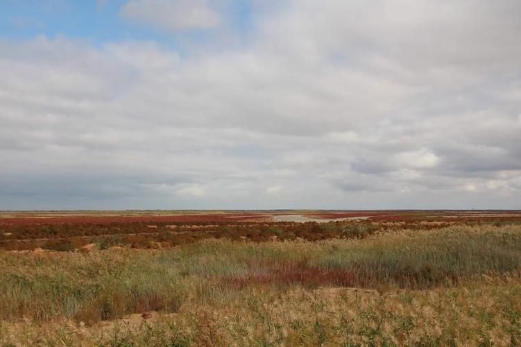 吉利区疫情观察:黄河滩涂地理单元下的防控样本