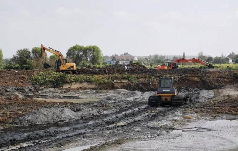 枝江：江汉平原腹地的疫情防线与破防时刻