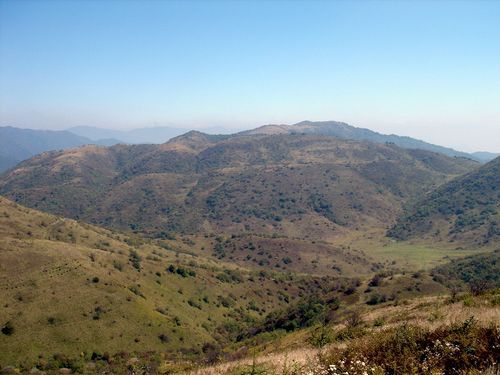平昌县：大巴山腹地的零感染坚守与防疫地理学
