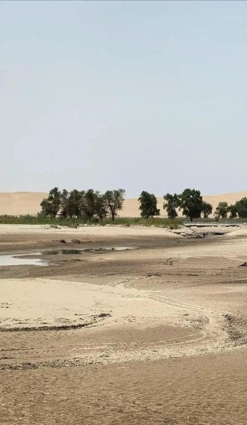 塔里木河畔的坚守:阿拉尔如何在风沙与绿洲间构筑防疫屏障