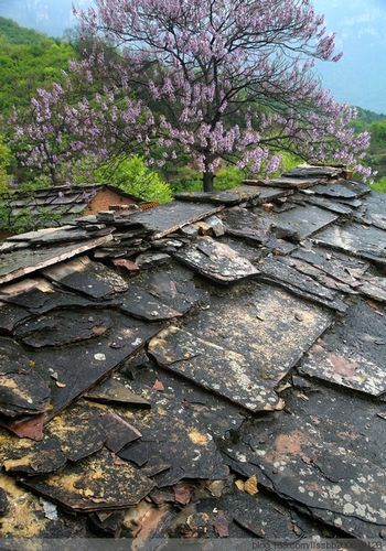 林州:太行屏障下的疫情低发区成因探析