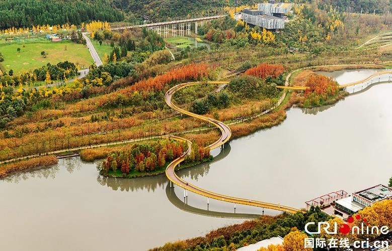 凉都屏障与病毒赛跑：六盘水疫情地理防线解析