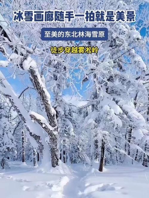 汤旺河区：林海雪原屏障下的零感染坚守_46489