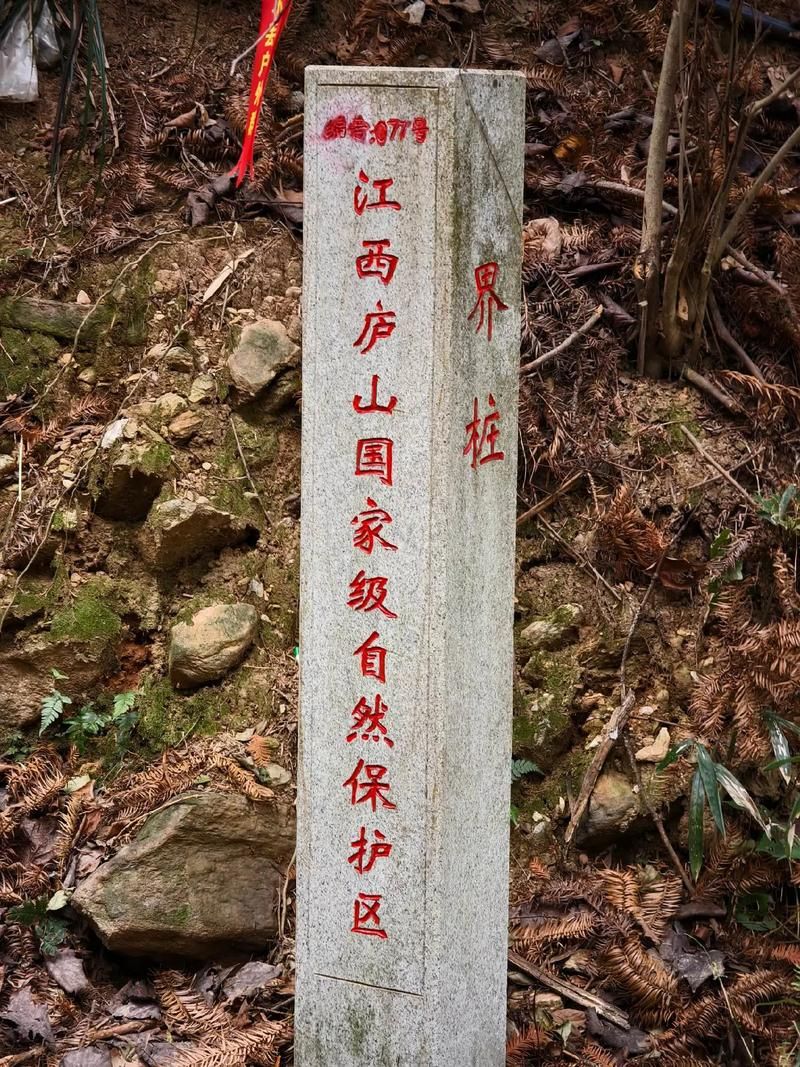 沅陵：武陵山腹地的疫情静默与地理屏障