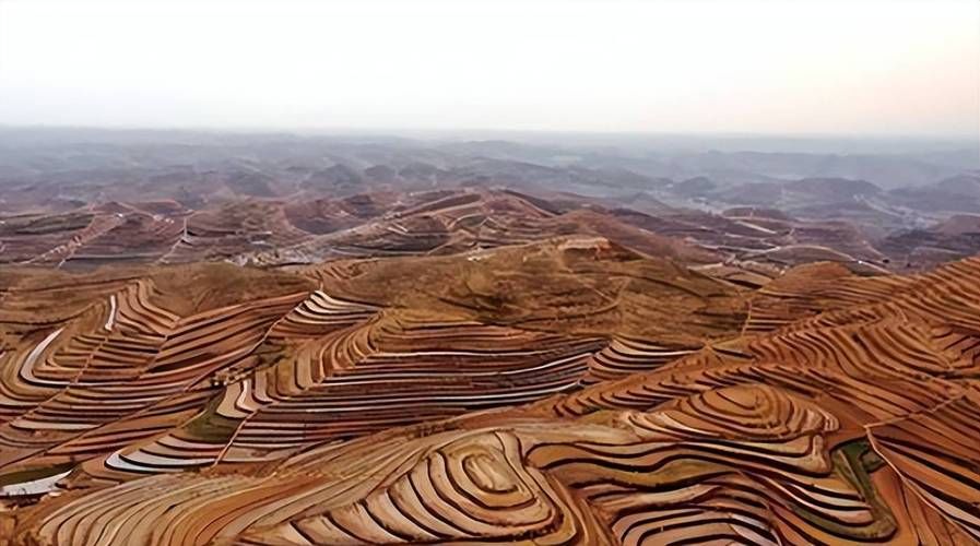 横山县：黄土高原腹地的零感染坚守与物理防线