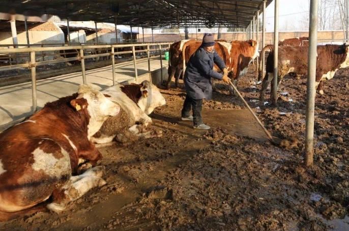 淮阳龙湖屏障下的隐匿传播:平原水网间的防控破局