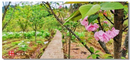 日常新闻 第162页