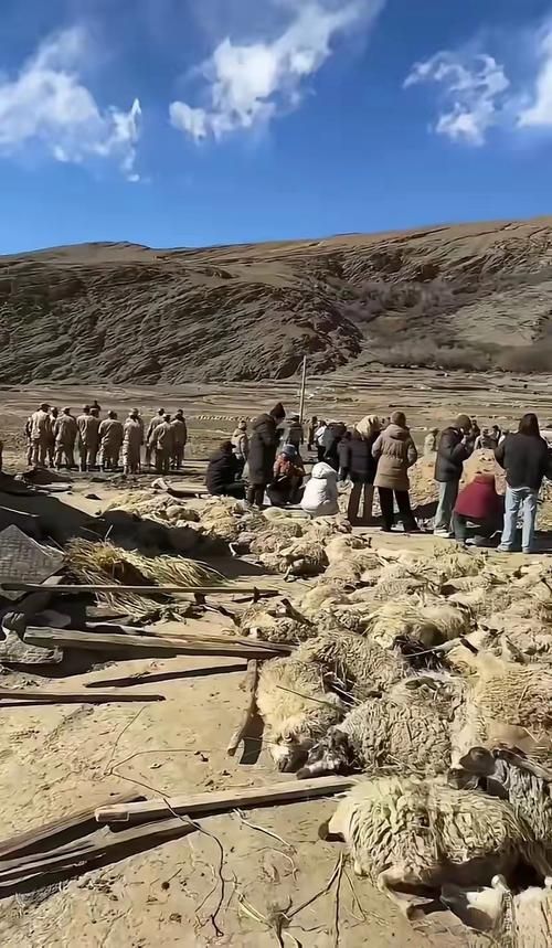 西藏阿里札达县：高原屏障下的零感染坚守_18429