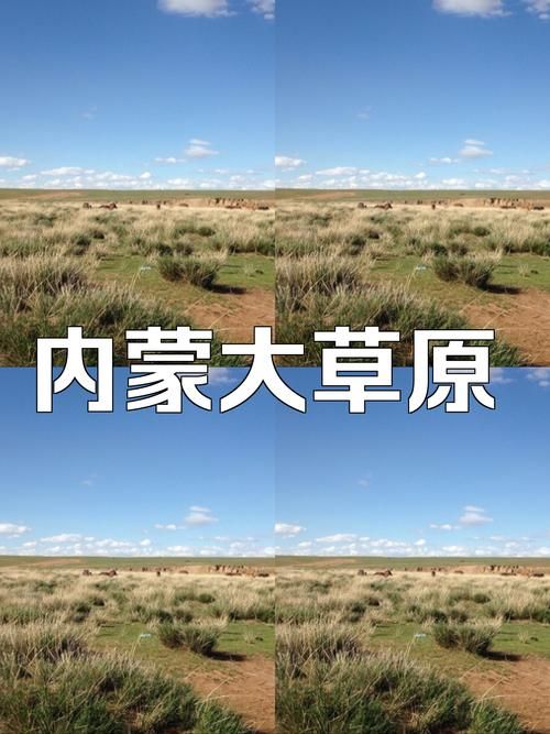 达尔罕茂明安联合旗新增1例无症状感染者  达尔罕茂明安联合旗疫情防控最新通报_7170