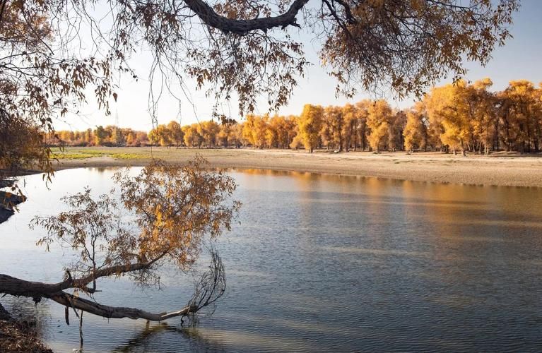 【尉犁：塔里木盆地边缘的疫情防线与破防时刻】