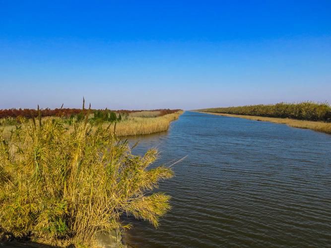 崇明岛：长江口生态屏障下的疫情防波堤_63754