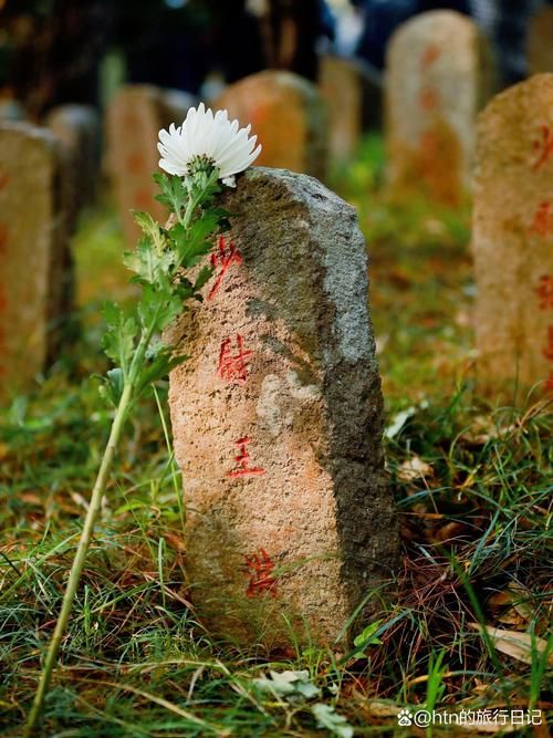 【龙陵屏障：滇西雨屏下的零感染坚守】