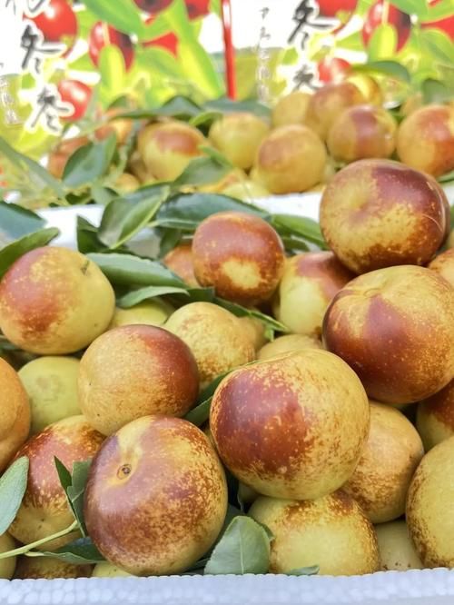 沾化冬枣之乡的防疫坚守：低风险区的物理防线与政策红线