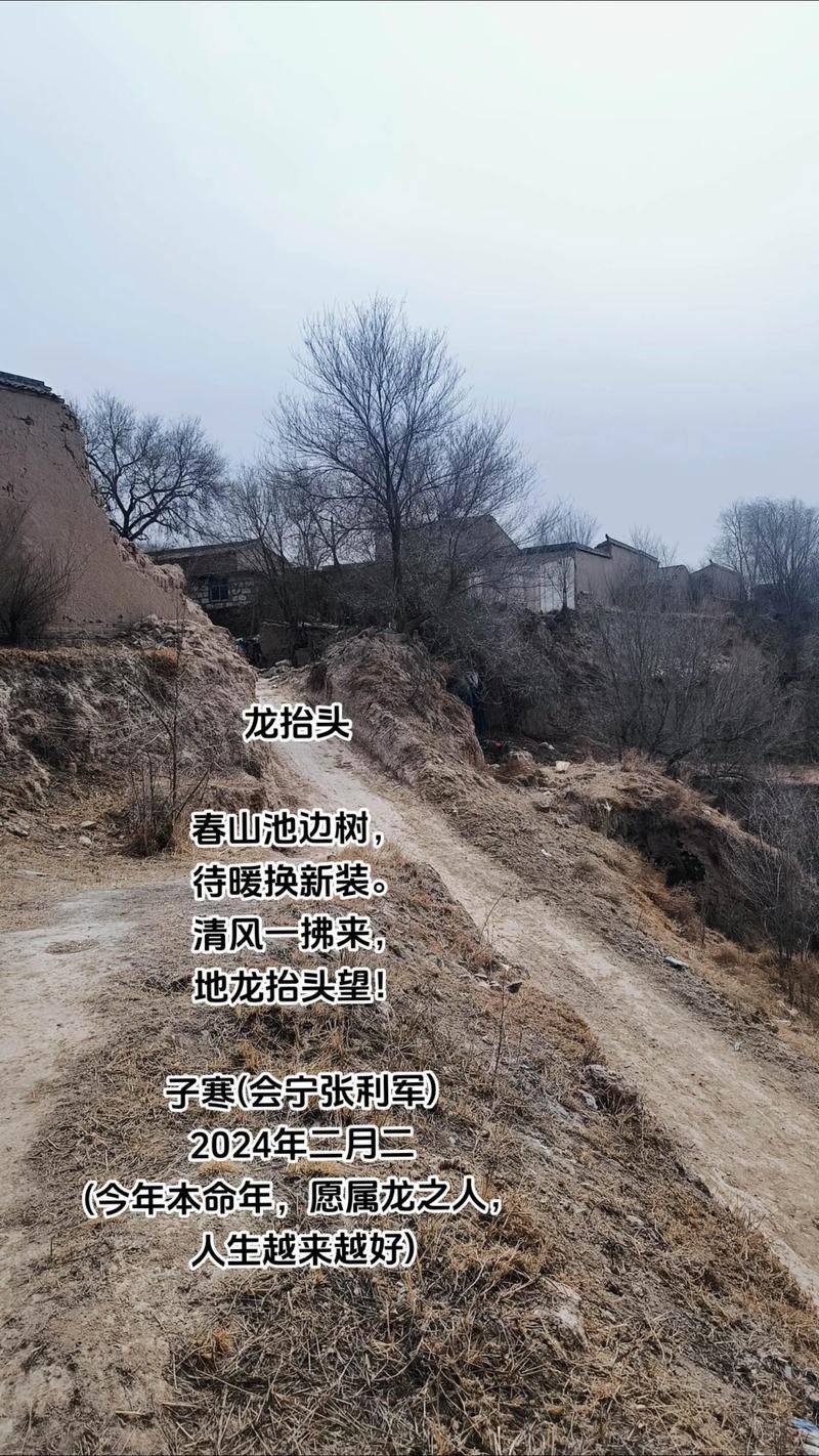 陇南西和:秦巴山区的零感染坚守与物理防线