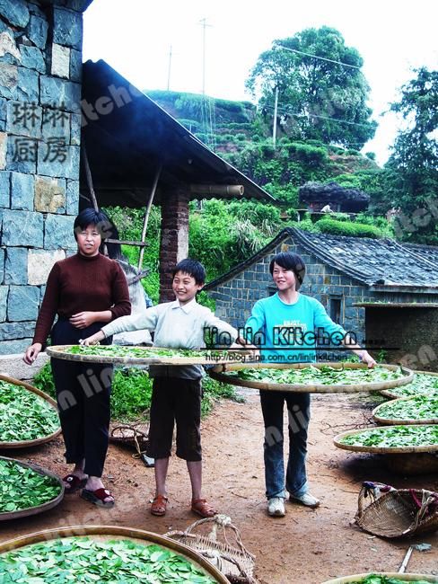 【茶乡的零感染防线：安溪地理屏障下的防疫实践】