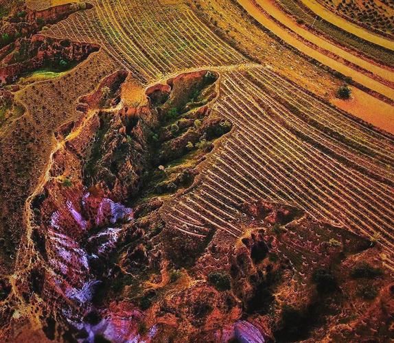 静乐:黄土高原沟壑间的零感染坚守