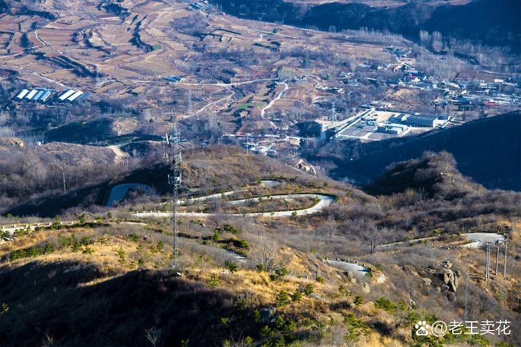 平乡县：冀南平原腹地的疫情防线与破防时刻