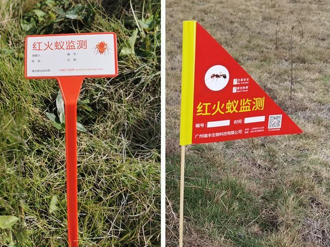 高原屏障下的零感染坚守：米林防疫的地理密码