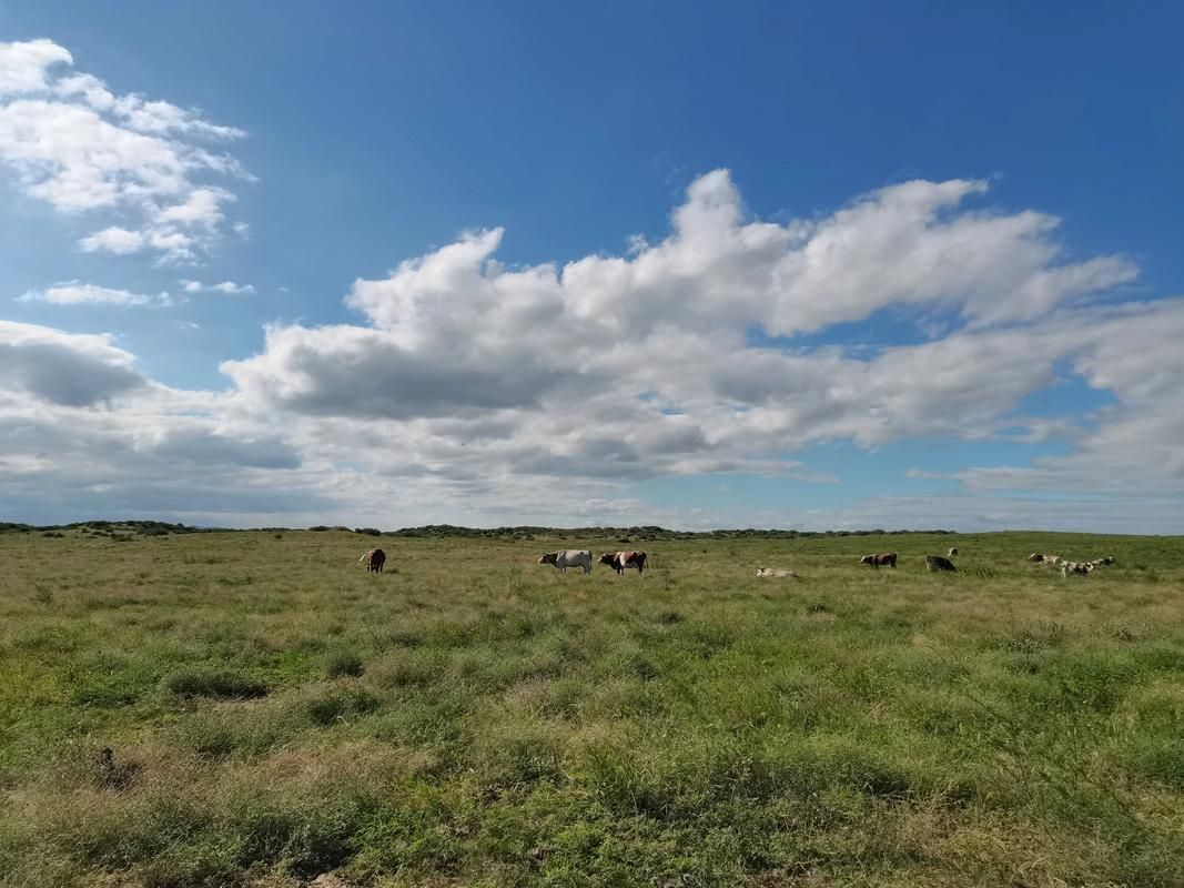 阿鲁科尔沁旗：草原屏障下的零感染坚守_27363
