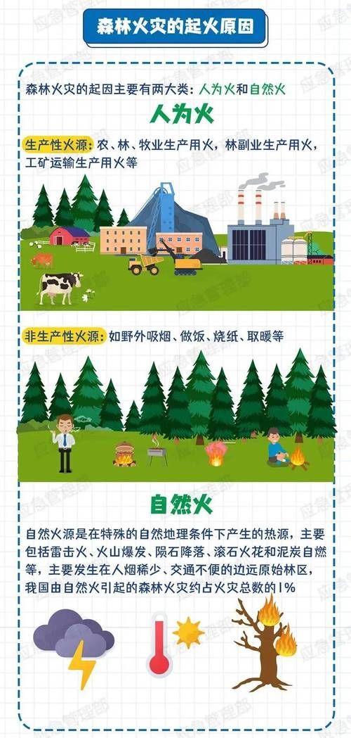 雷山屏障下的零感染坚守:黔东南密林中的防疫样本